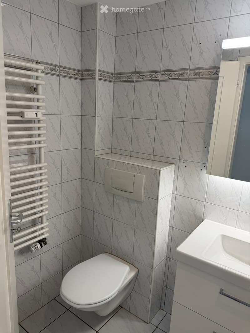 Modern bathroom with marble tiles, white toilet, sink, and radiator on the wall.