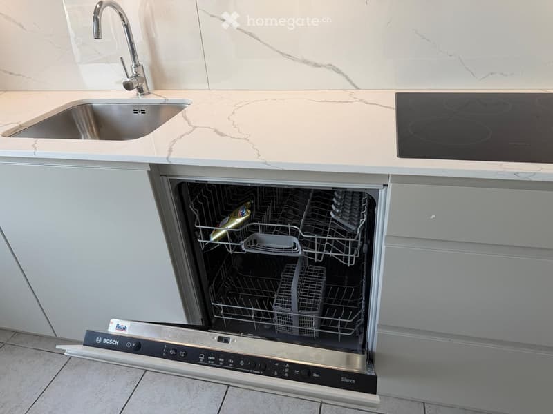Modern kitchen with a stainless steel sink, faucet, Bosch dishwasher, and induction cooktop.