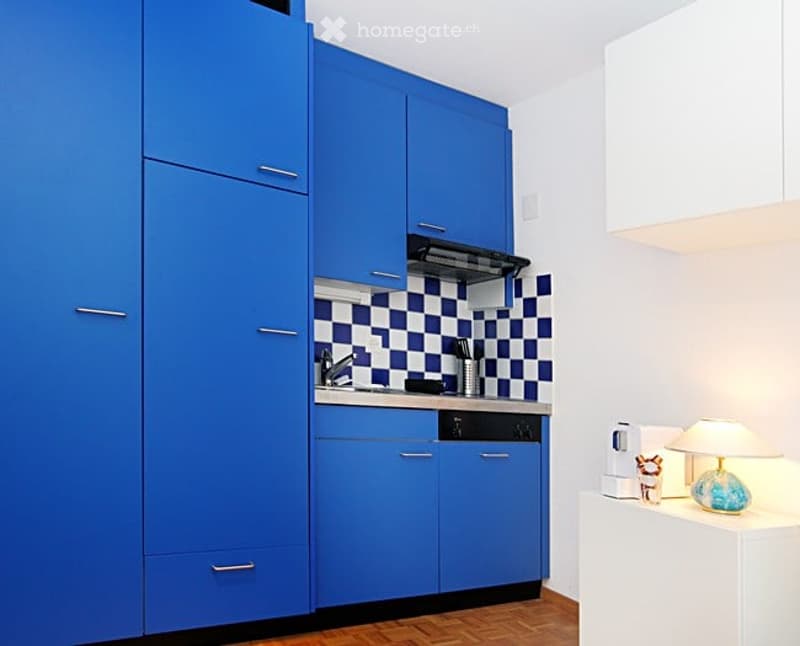 Modern kitchen with blue cabinets, checkered backsplash, wooden floor, and various appliances including a sink, stove, and dishwasher.