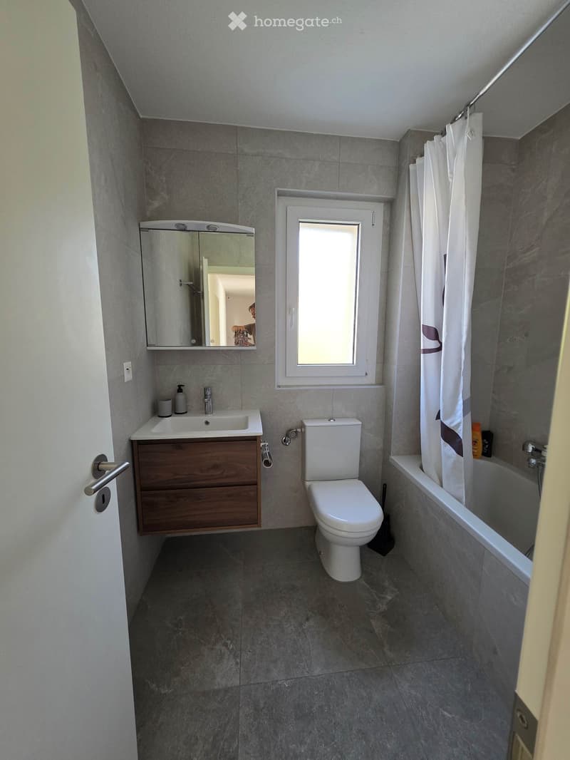 Modern bathroom with grey tiles, a white sink with wooden cabinet, a toilet, a bathtub with a shower curtain, and a mirror above the sink.
