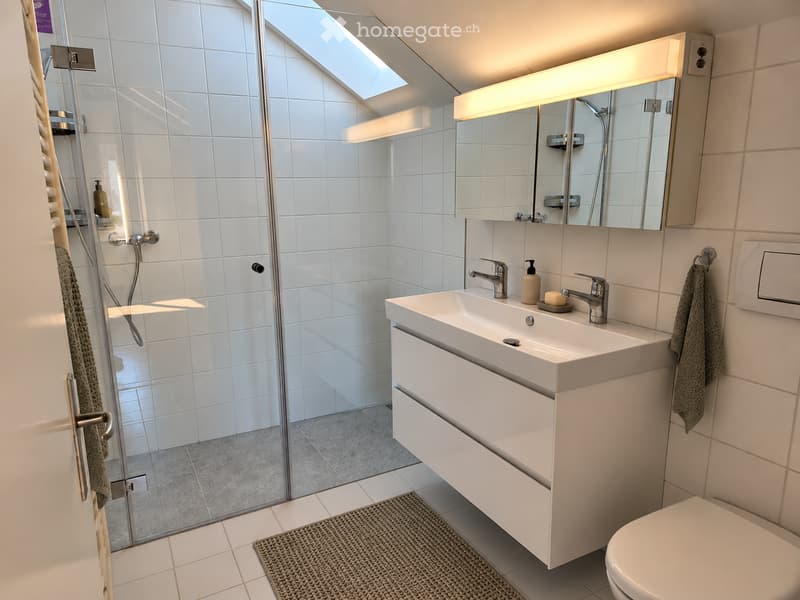 Modern bathroom with white tiles, a large sink with a mirror, a shower area with a glass door, and a toilet. The space features a built-in cabinet under the sink and a towel hanging on the wall.