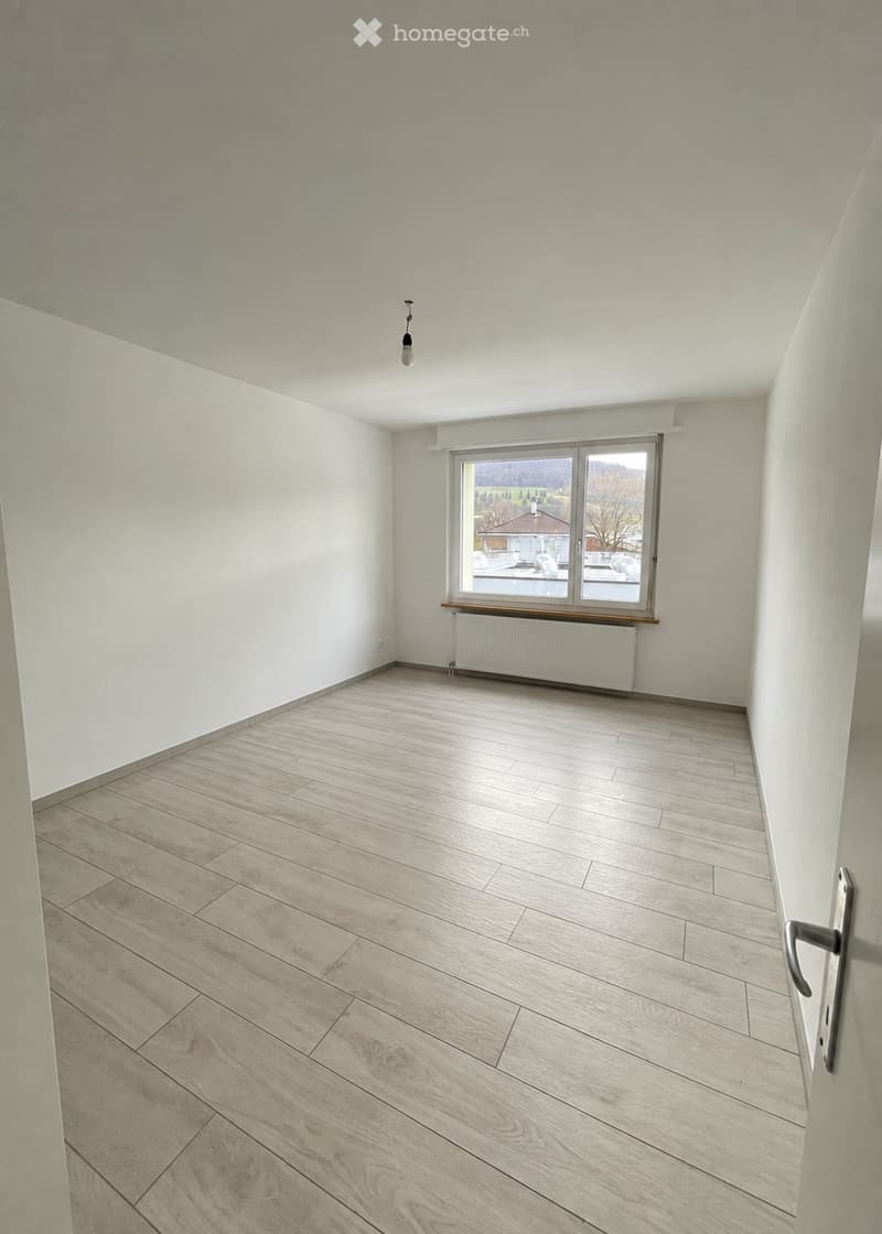 Empty room with light wooden flooring, white walls, a single window with a radiator below, and a ceiling light fixture.