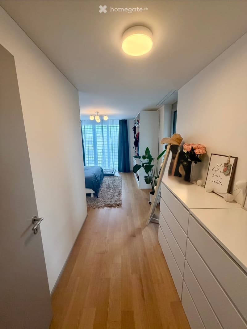 A well-lit hallway with wooden flooring, white walls, and modern ceiling lights. Features a dresser with a mirror, a potted plant, and a framed picture on the wall.