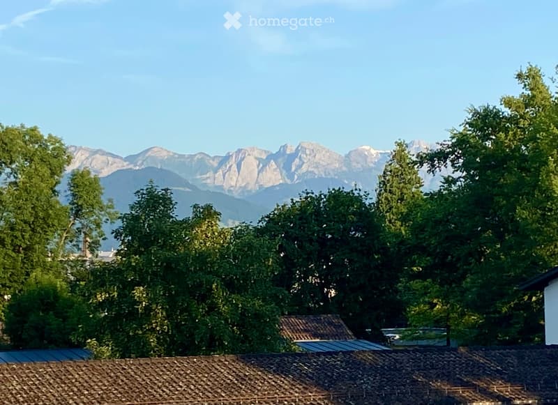 View from a rooftop showing a lush green landscape with trees and distant mountains under a clear blue sky.