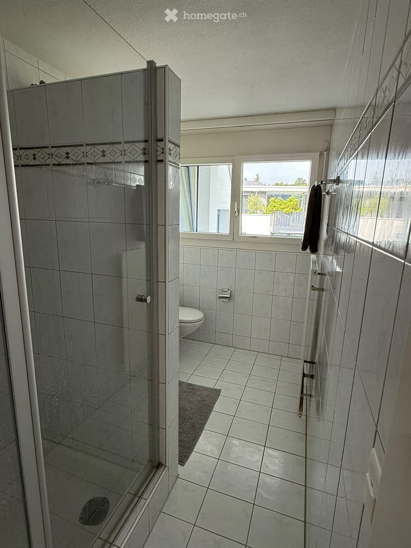 Modern bathroom with a glass-enclosed shower, toilet, and tiled walls and floor. A small bathroom rug is placed in front of the toilet.