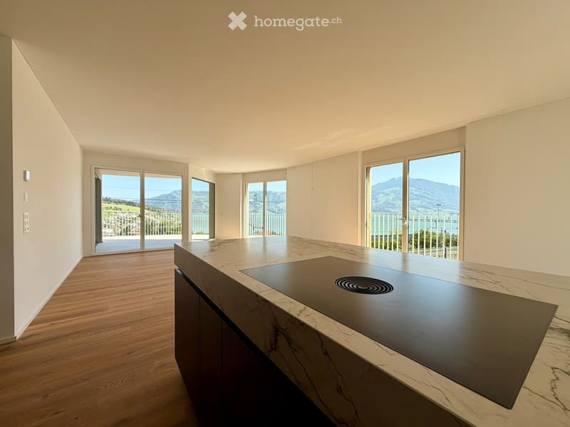 Modern kitchen with a marble countertop, induction cooktop, and large windows offering a scenic mountain view.