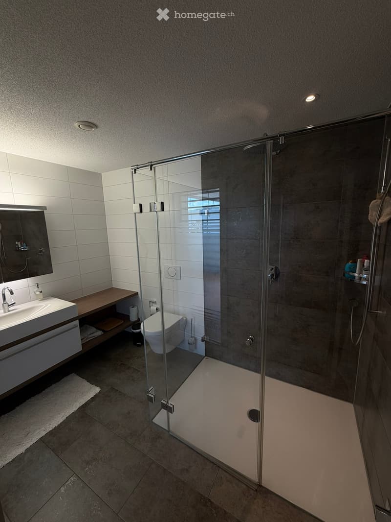 Modern bathroom with a glass-enclosed shower, white tiles, a wooden vanity with a sink, and a toilet. The space features a large mirror, a towel, and various bathroom accessories.