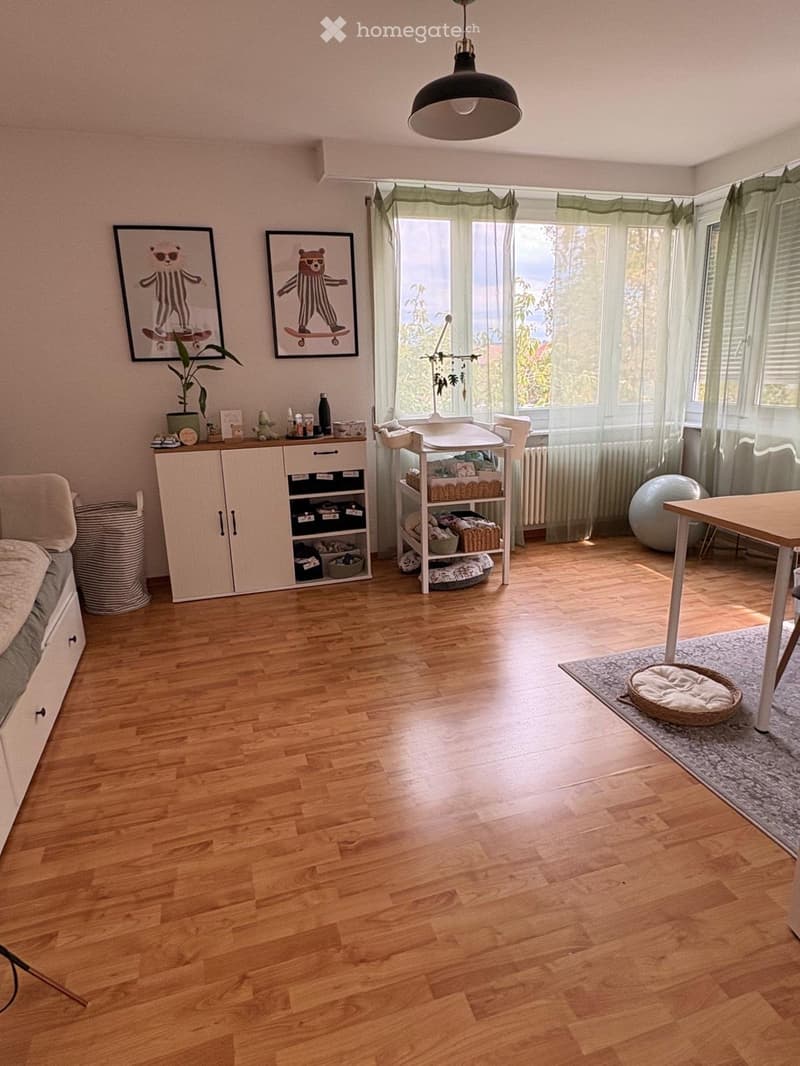 A well-lit living room with wooden flooring, a sofa, a cabinet, a small table, a baby stroller, a dog bed, and a large window with green curtains.