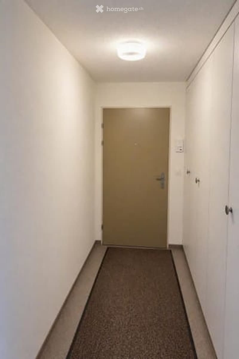 A narrow hallway with white walls, a closed door at the end, and a small carpeted area in front of the door.