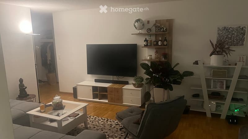 Modern living room with a grey sofa, white coffee table, armchair, flat-screen TV, shelves with decorative items, and plants.
