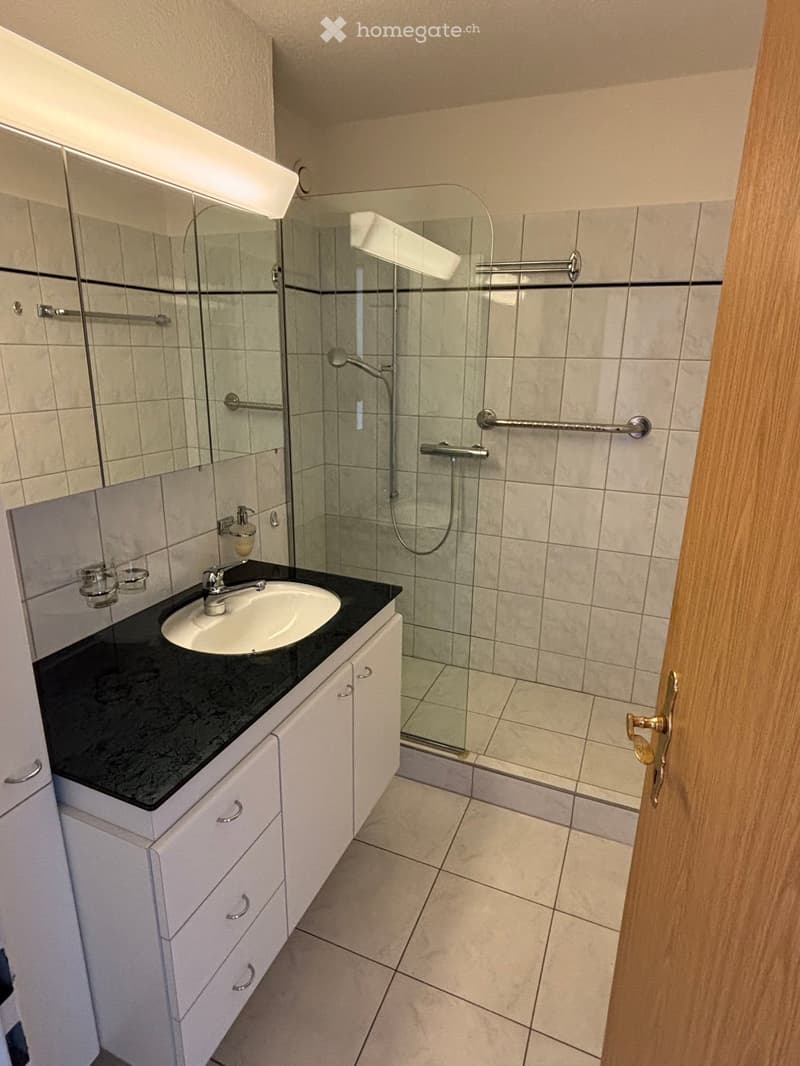 Modern bathroom with a white sink, black countertop, mirrored cabinet, and a glass-enclosed shower with safety rails.
