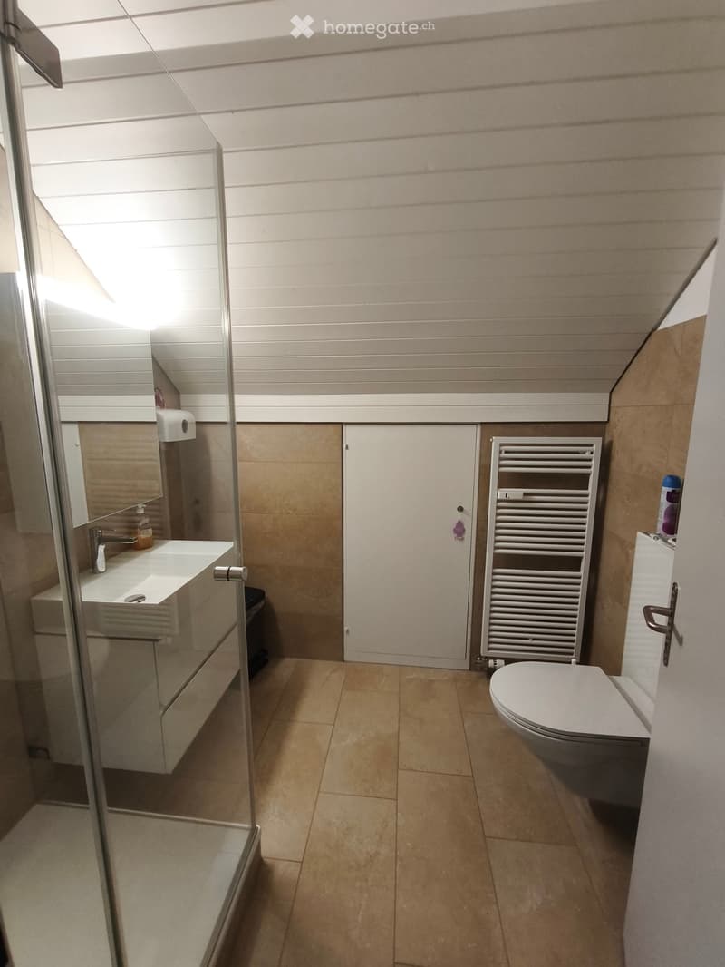 Modern bathroom with beige tiles, a white sink, a toilet, a radiator, and a glass-enclosed shower stall. The room features a skylight window and a mirror above the sink.