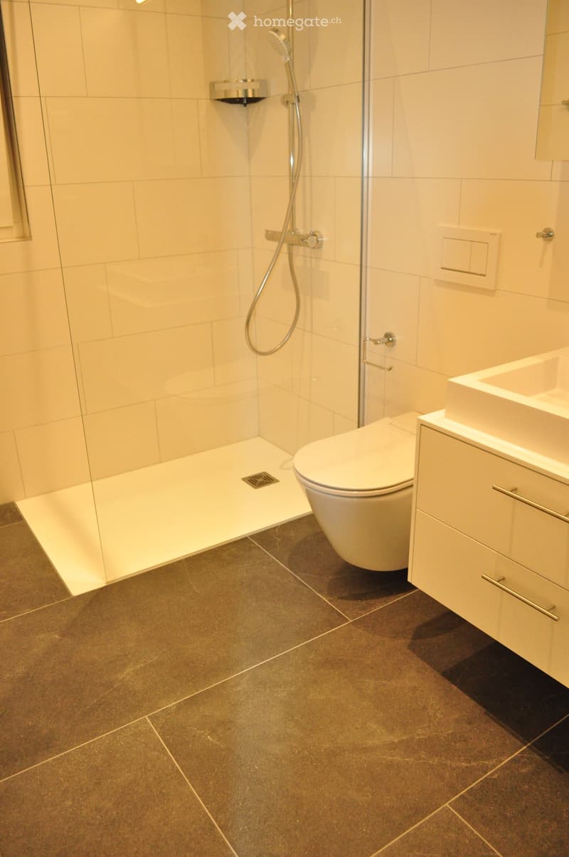 Modern bathroom with a glass-enclosed shower, toilet, sink, and dark tiled floor.