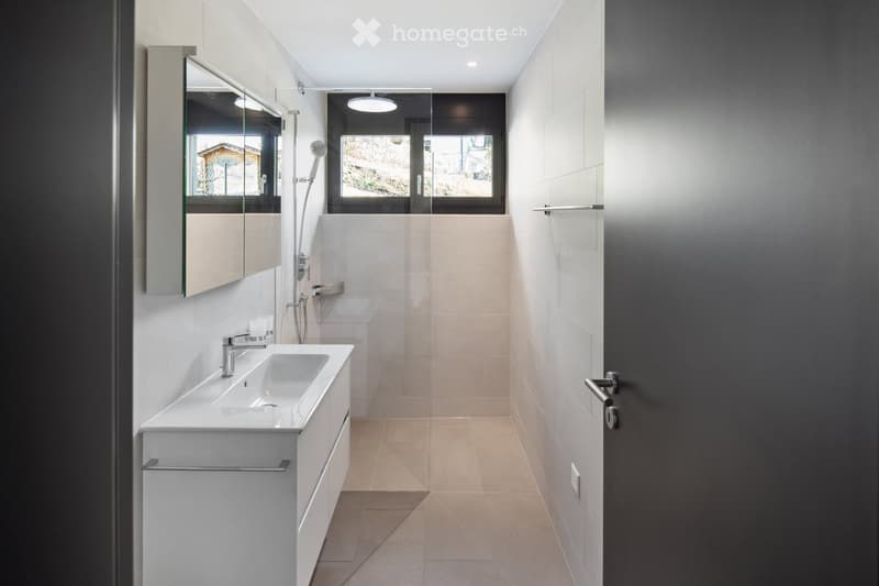 Modern bathroom with a white sink, mirror, and a glass-enclosed shower area. The space features sleek fixtures and a contemporary design with neutral tones.