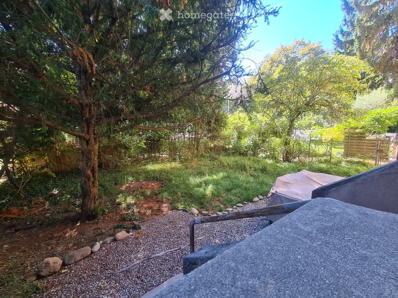 Garden area with trees, gravel, rocks, and covered objects, surrounded by greenery and a wooden fence.