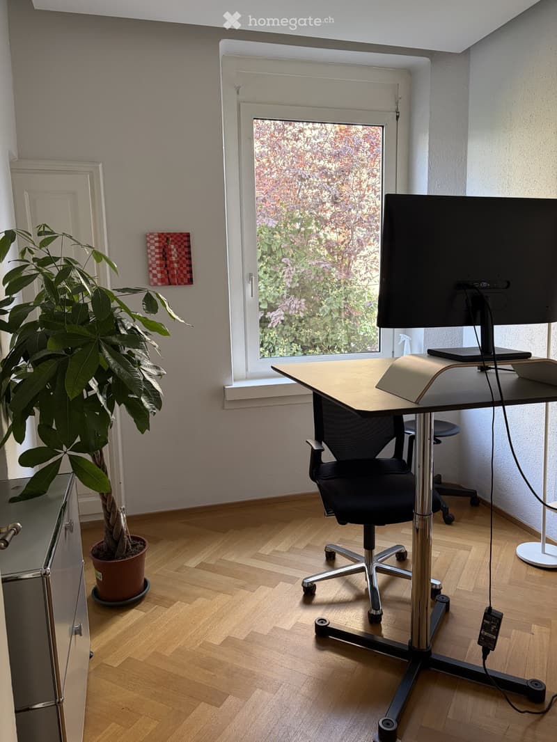 A modern, well-lit room with a wooden floor, a large window, a potted plant, a desk with a chair, and a screen on the desk.