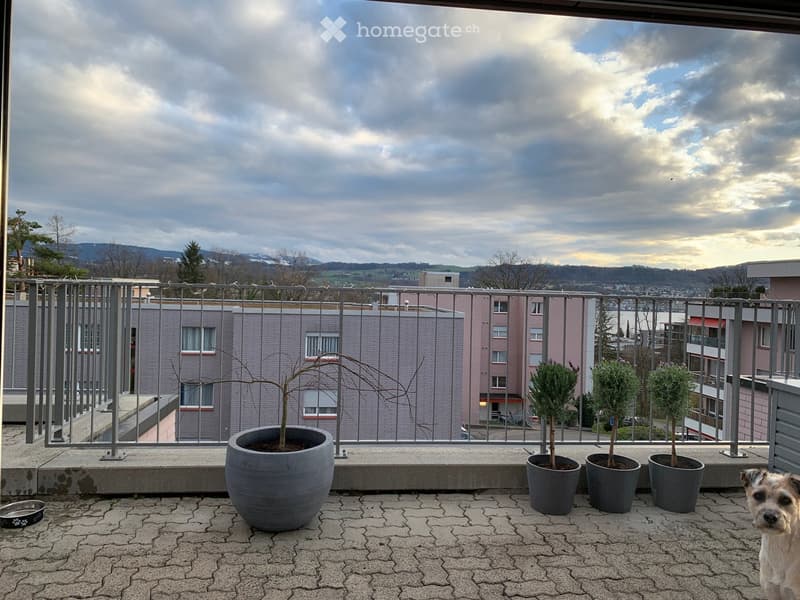 Balcony with metal railing, potted plants, and a dog bowl, overlooking a cityscape with buildings and distant hills.