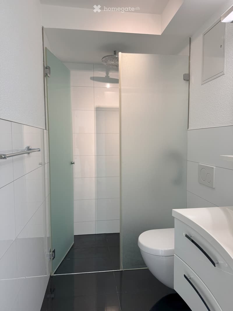 Modern bathroom with white tiles, a glass-enclosed shower, a toilet, and a sink with a cabinet.