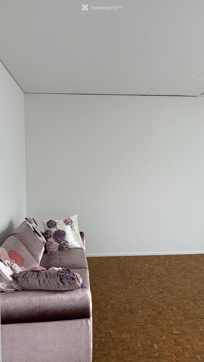 A modern living room with a single sofa, decorative pillows, and a wooden floor.