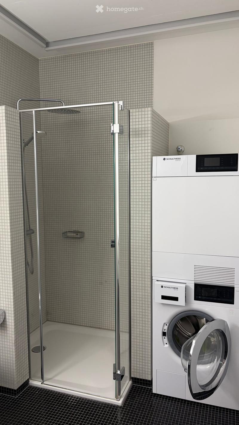 Modern bathroom with a glass-enclosed shower and a private washing machine.