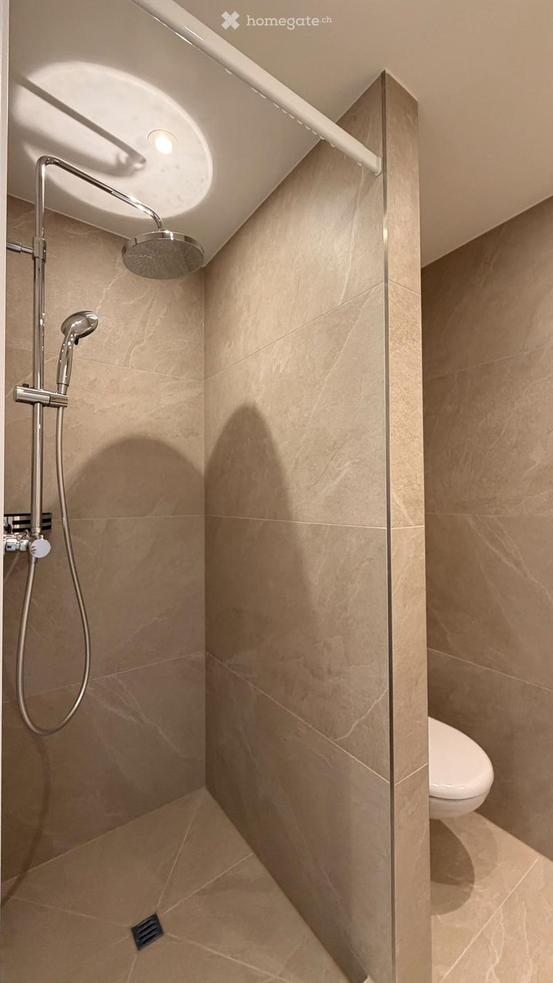 Modern bathroom with a corner shower and toilet, featuring beige marble tiles and a sleek chrome showerhead.