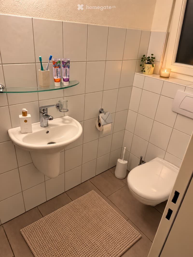 Modern bathroom with white tiles, a glass shelf holding toothbrushes and toothpaste, a sink with a modern faucet, a toilet, a toilet brush, a small candle, and a decorative plant on the windowsill.