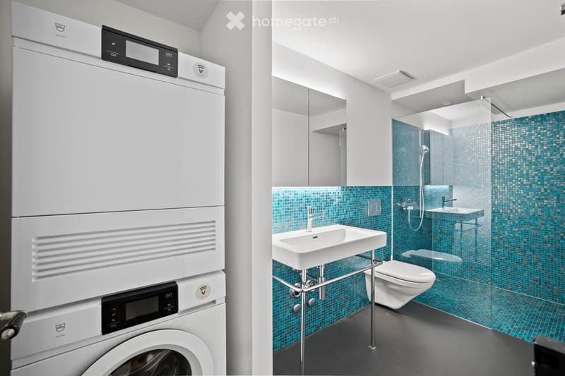 Modern bathroom with a white sink, chrome faucet, toilet, glass-enclosed shower with blue mosaic tiles, and a washing machine and dishwasher unit.