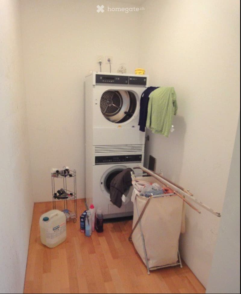 Laundry room with a washing machine, dryer, laundry basket, shelf, and various cleaning supplies.