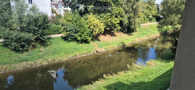 A serene outdoor scene featuring a small stream running through a lush, green area surrounded by trees and bushes. The water reflects the surrounding foliage and structures, creating a peaceful natural setting.