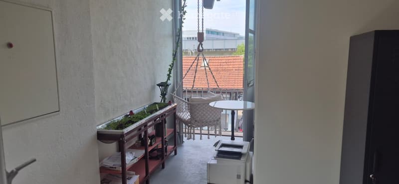 Balcony with a hanging chair, small table, shelf with plants, and printer.