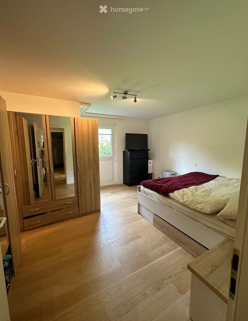 A modern bedroom with wooden flooring, a large bed with a red blanket, a wardrobe with mirrored doors, a television on a dresser, and a small window with blinds.