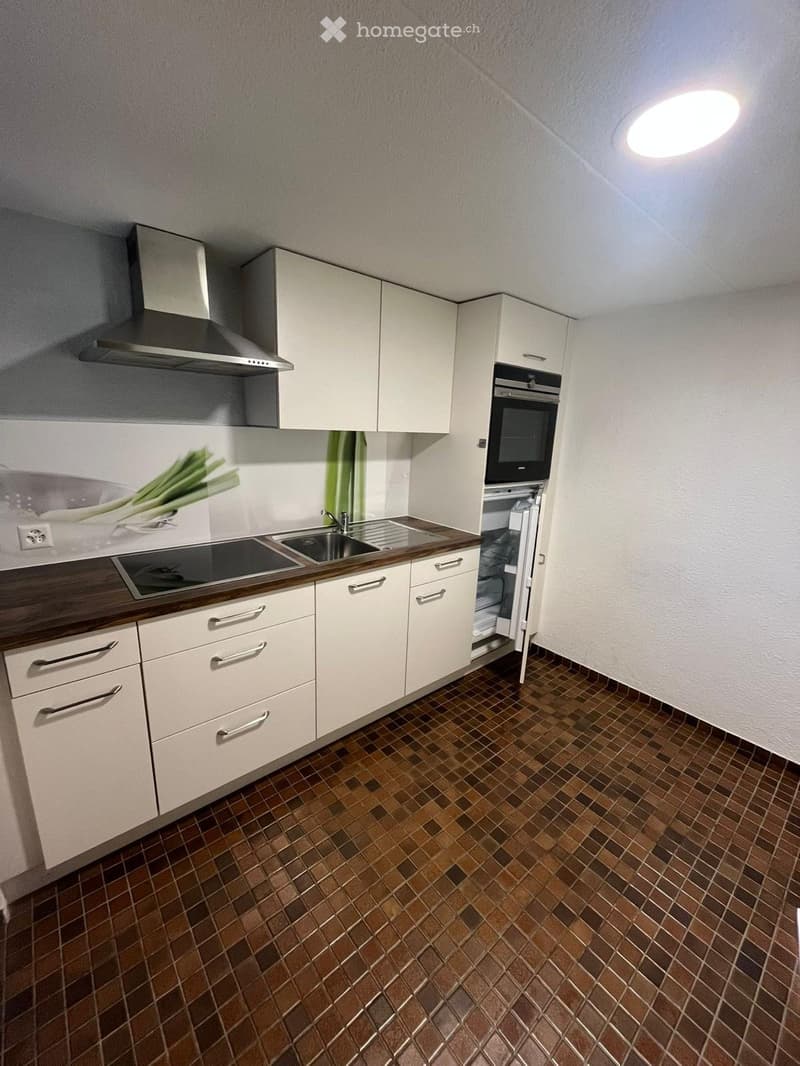 modern white kitchen, induction hob, built-in microwave, dishwasher, open refrigerator