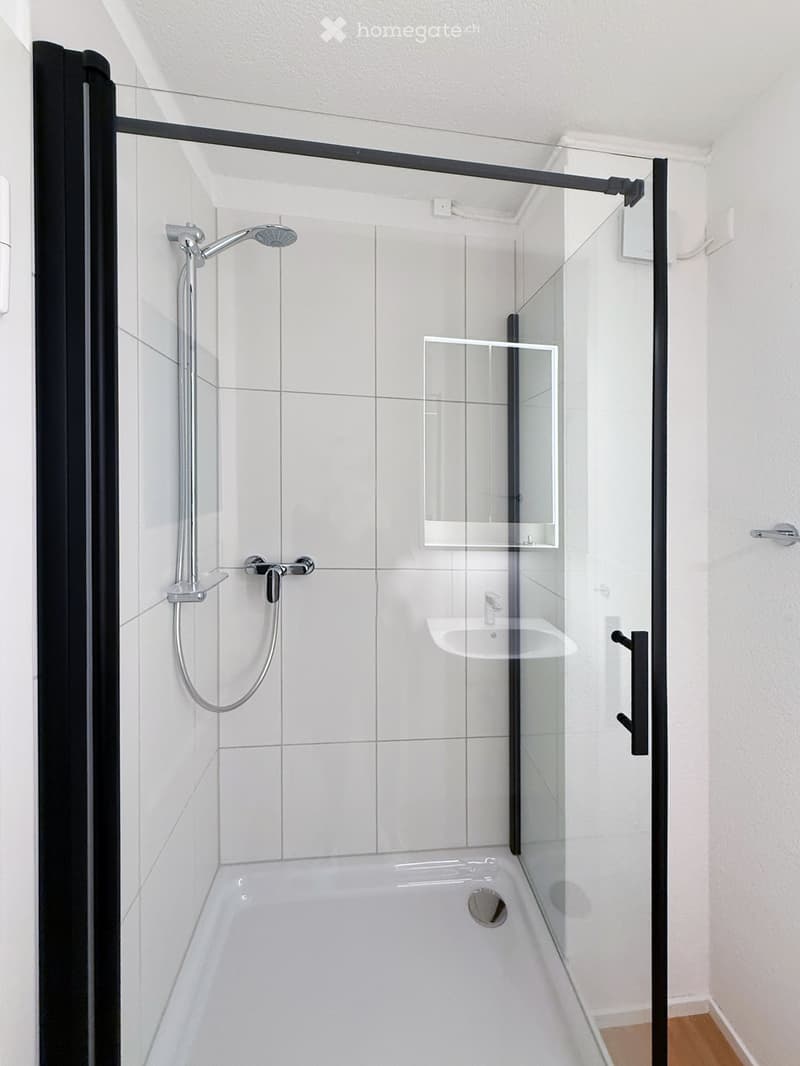 Modern bathroom with a glass-enclosed shower, white tiles, a handheld showerhead, and a built-in mirror above the sink.