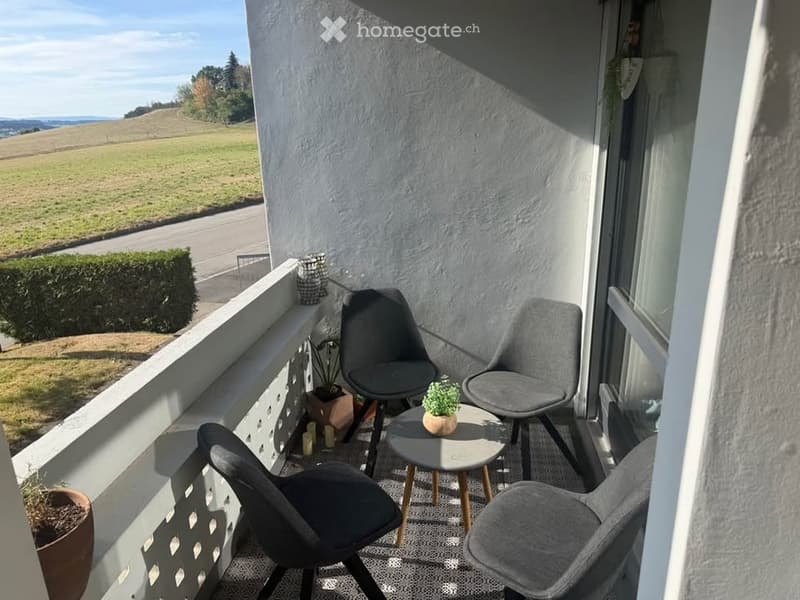 Balcony with grey chairs, small round table, potted plants, and a scenic view of a green field.