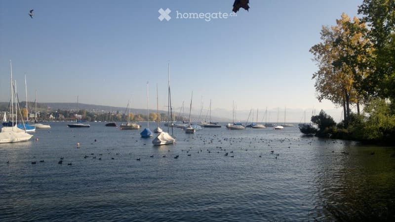 A serene lakeside scene with numerous sailboats anchored in calm water, surrounded by trees and distant mountains under a clear blue sky.
