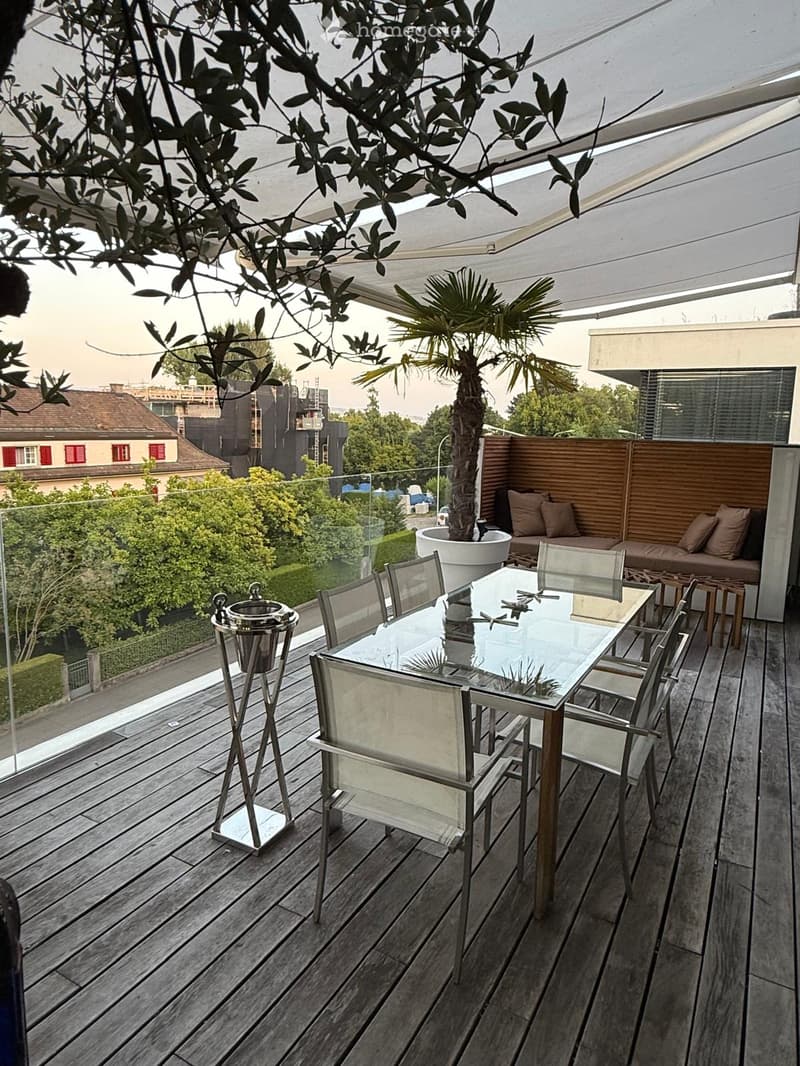 Wooden deck with glass railing, glass dining table with chairs, sofa with cushions, potted plant, and a view of the city.
