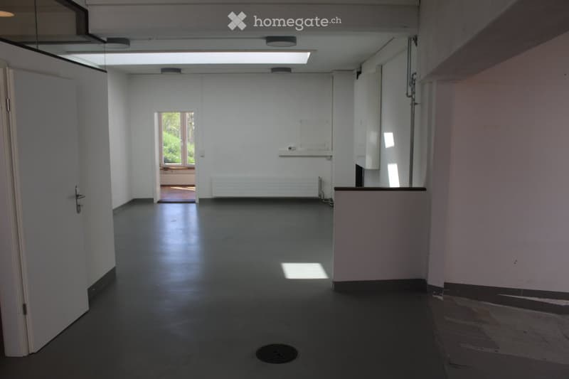 Empty hallway with white walls, dark floor, and a door leading to another room. Natural light streams in from a window at the end of the corridor.