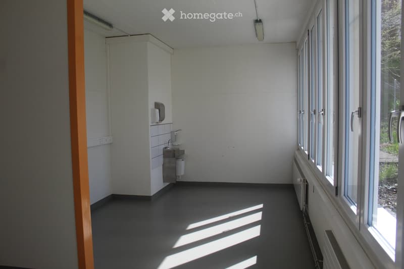 Empty room with grey flooring, white walls, large windows, and a small sink area with a faucet and trash bin.
