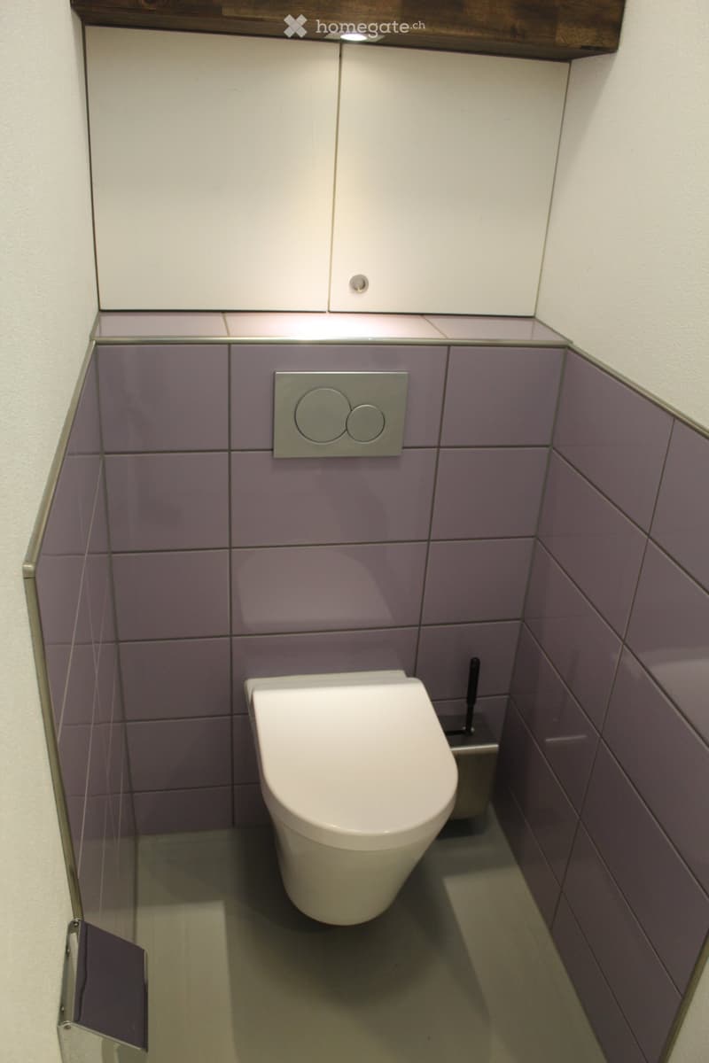 Modern bathroom with white toilet, purple tiled walls, and a built-in cabinet above.