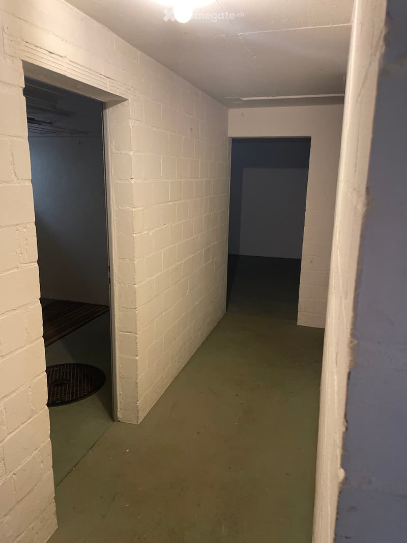 Empty hallway with white brick walls, green floor, and two open doorways leading to other spaces.