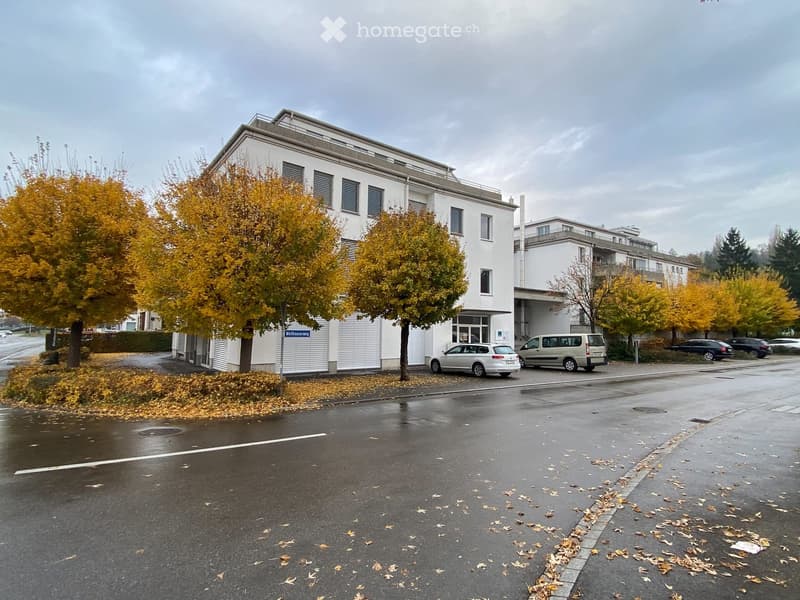 Modern white building with large windows and a flat roof, surrounded by autumn trees and parked cars.
