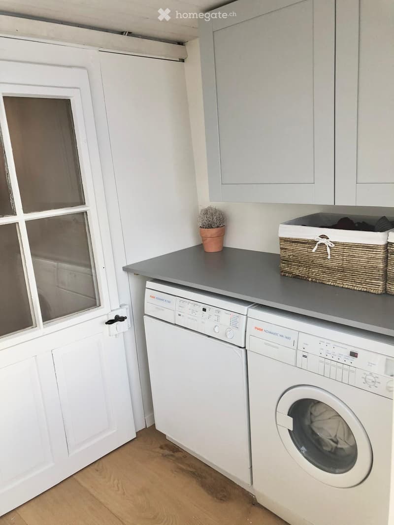 A compact bathroom with a washing machine, dishwasher, countertop, and a small potted plant on the counter.