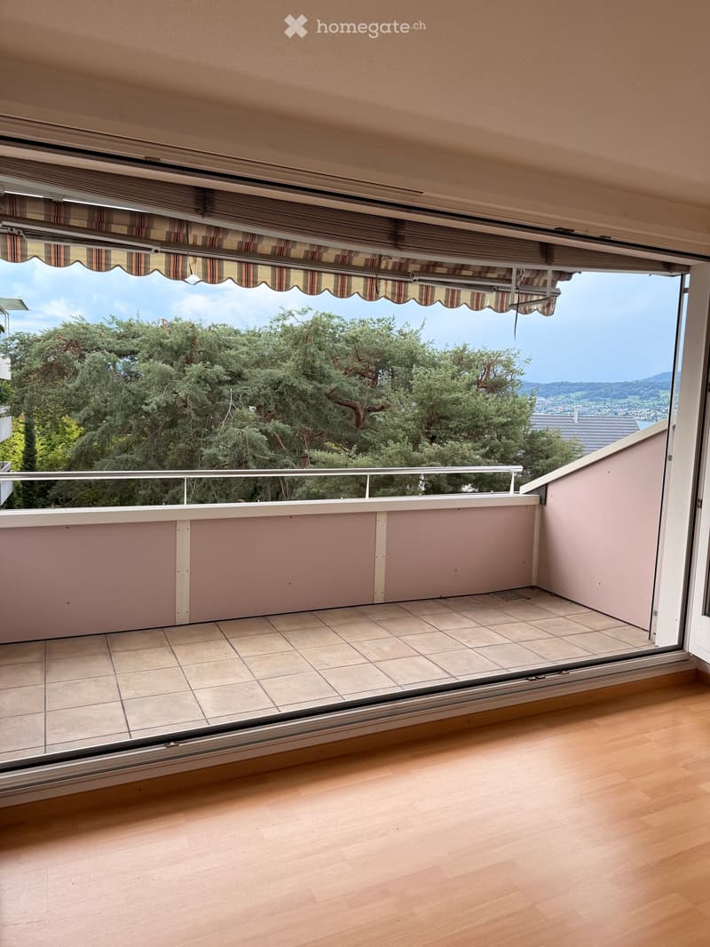 Balcony with tiled floor, metal railing, and striped awning, overlooking trees and distant landscape.