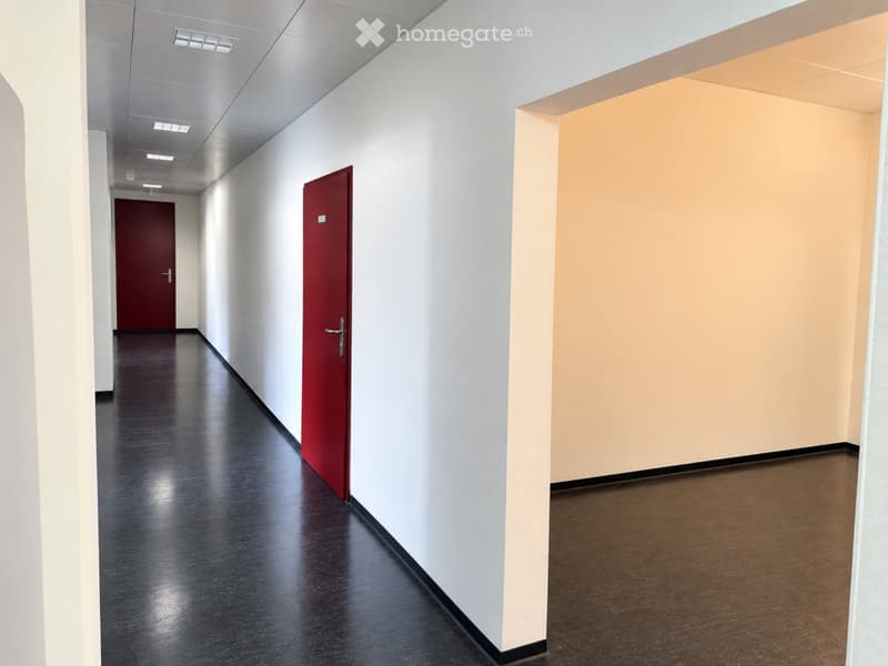 Modern hallway with white walls, black polished floor, and two red doors.