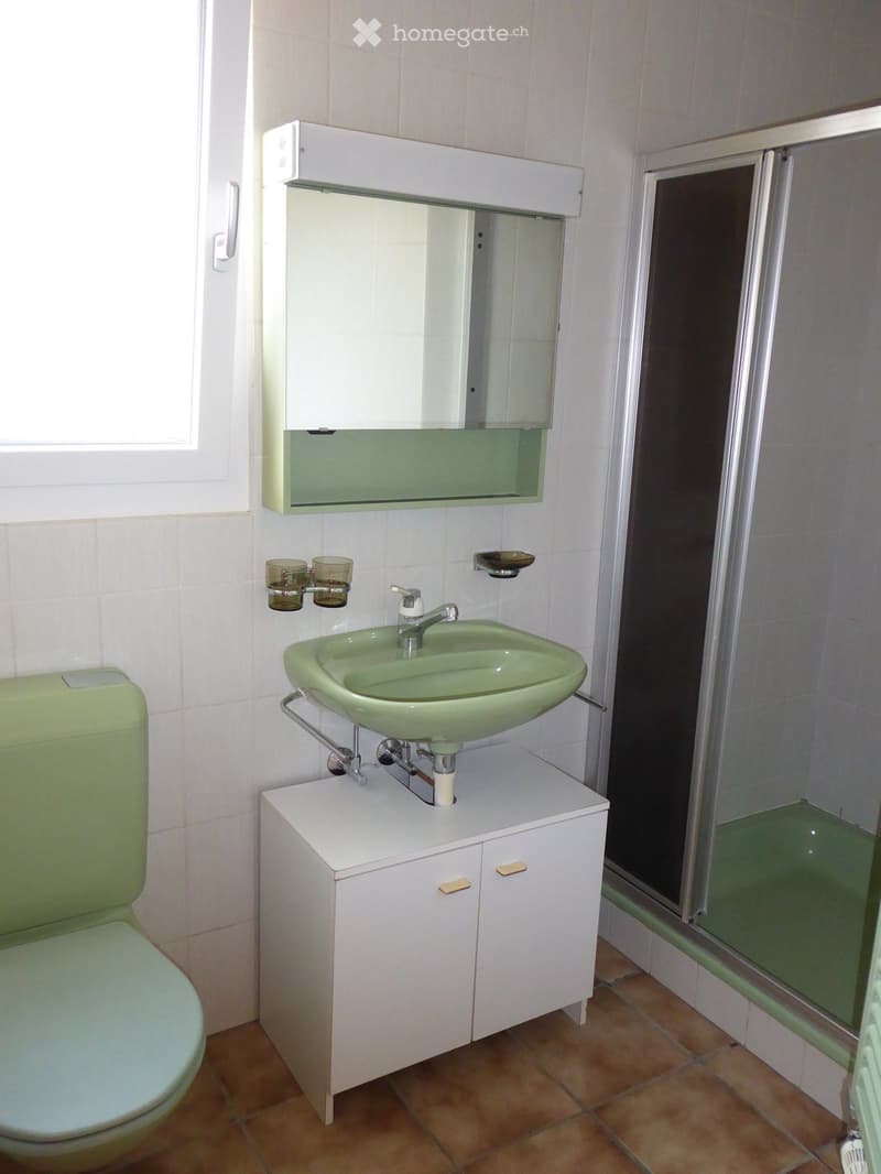 Bathroom with a green sink, white cabinet, mirror, and a toilet. The shower area is visible on the right side.