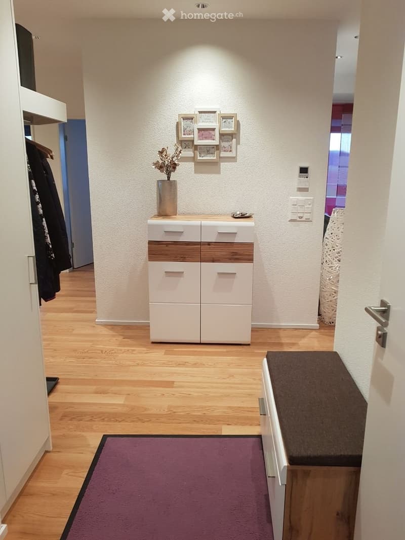 Modern hallway with wooden flooring, white storage unit with wooden accents, decorative vase, picture frames, and rugs.