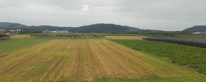 Aerial view of a rural landscape with cultivated fields, rows of crops, and distant hills under a cloudy sky.