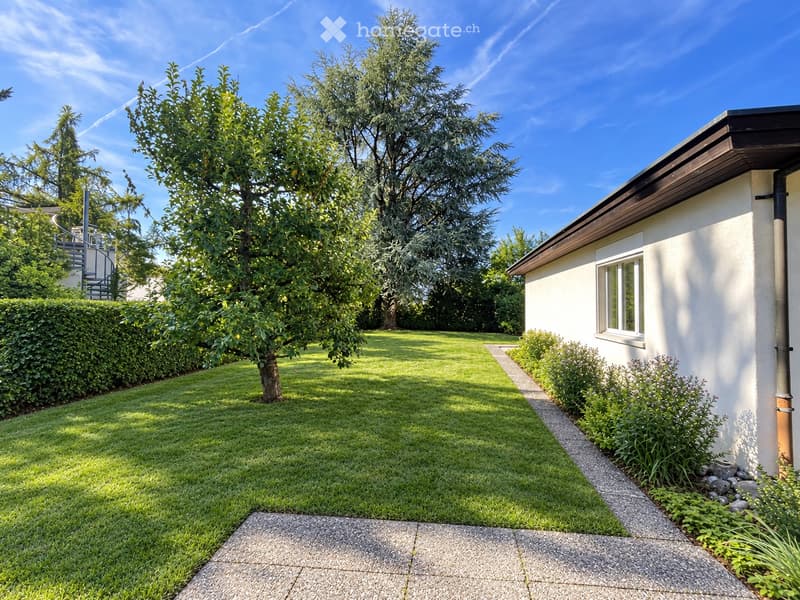 Well-maintained garden with a neatly trimmed lawn, a large tree, a hedge, and a concrete pathway leading to a house entrance.