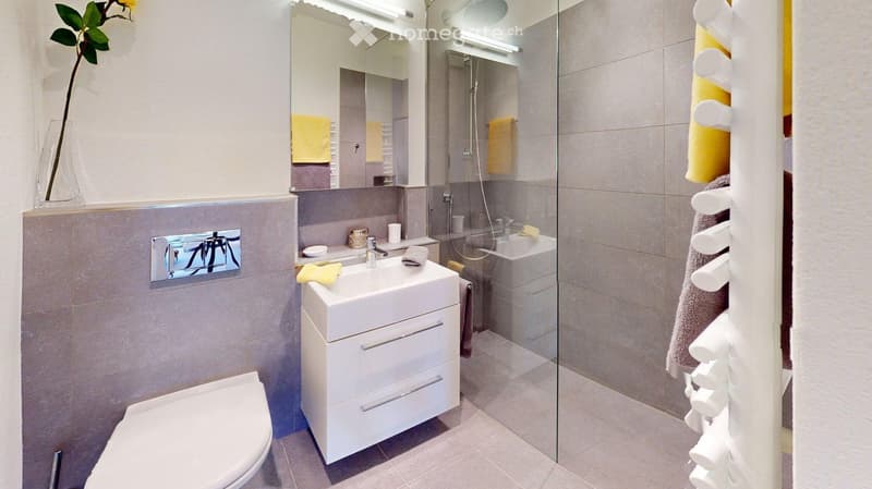 Modern bathroom with a white sink, toilet, large mirror, glass-enclosed shower, and towel rack. Features a sleek design with grey tiles and a decorative flower vase on the windowsill.