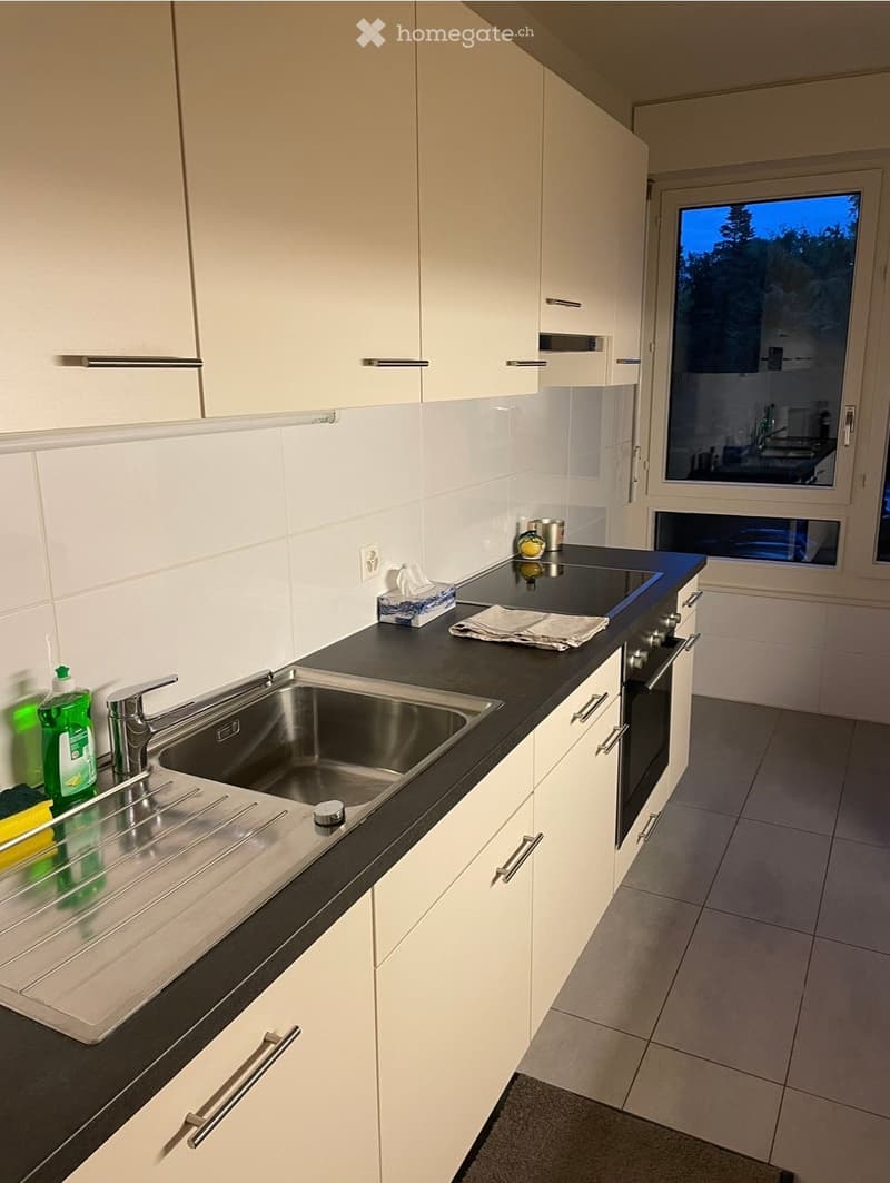 Modern kitchen with white cabinets, black countertop, stainless steel sink, and built-in oven. Features a window with a view of the evening sky.